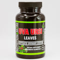 Uva Ursi Capsules